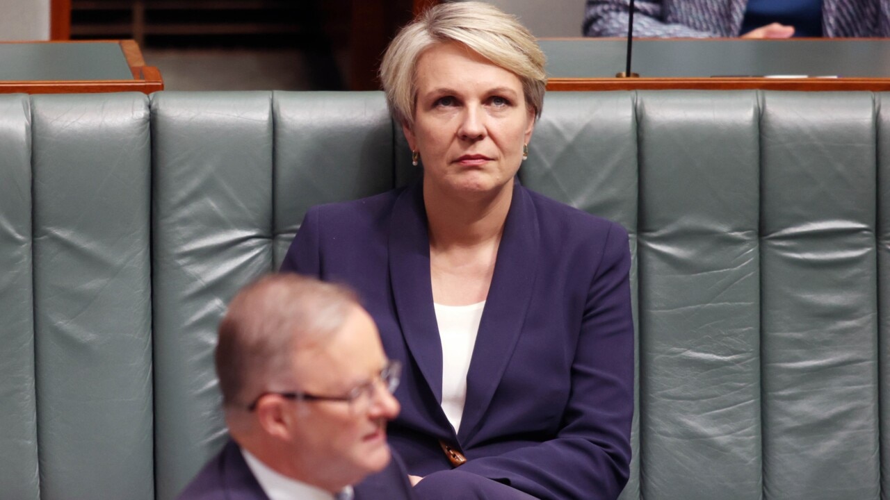 ‘Ripping up the thing you're there to protect’: Littleproud slams Environment Minister