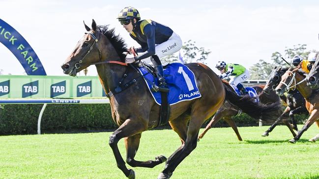 Engine Room is chasing back-to-back wins when heads to Randwick-Kensington. Picture: Bradley Photos