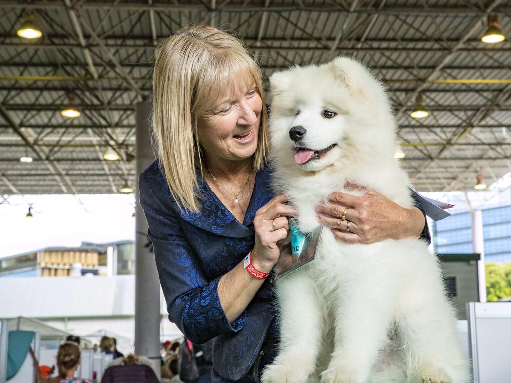 Julie Wales with Marshall, the three-month-old Samoyed, at the Ekka at the RNA Showgrounds in Bowen Hills on Thursday. Picture: Richard Walker