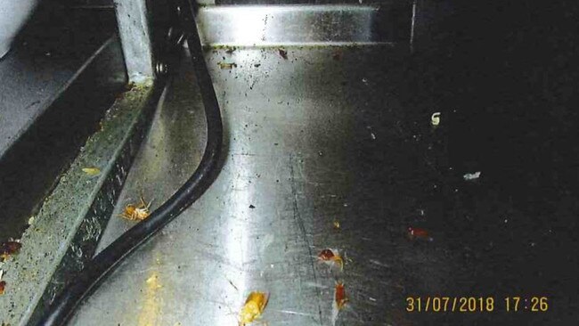 Dead cockroaches in the kitchen. Picture: ACT Magistrates Court