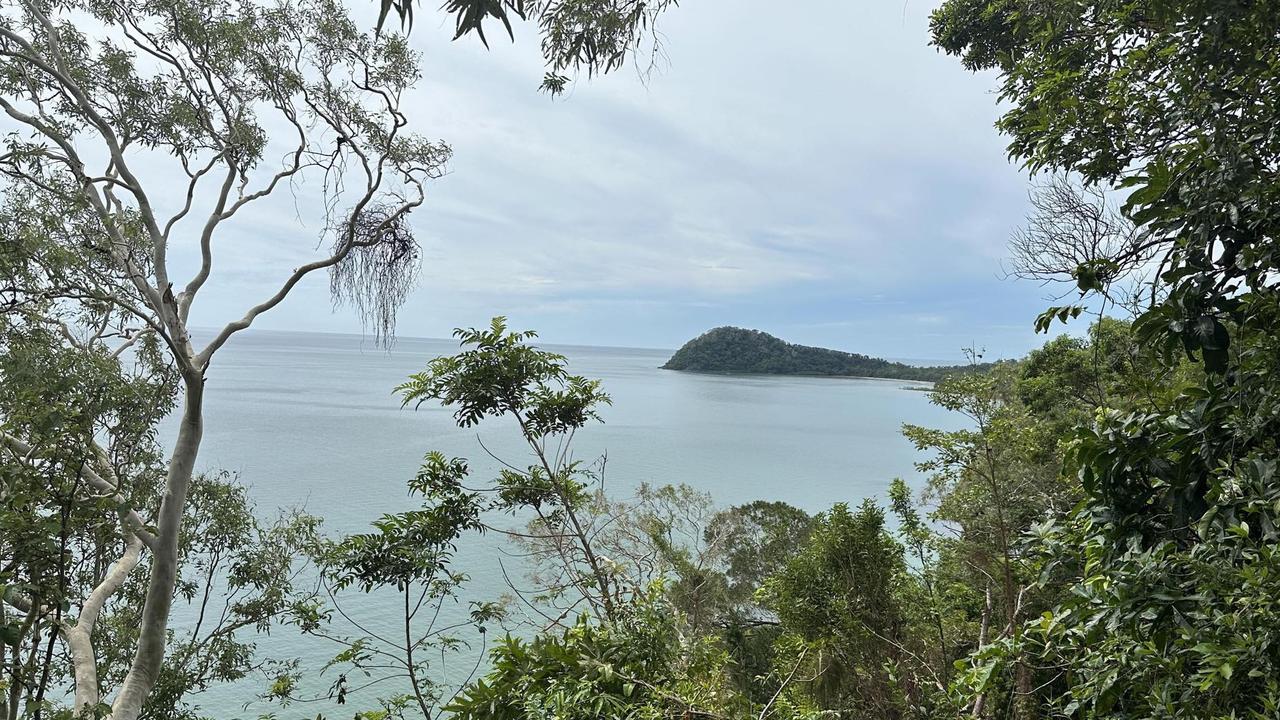 Nestled in the heart of ancient rainforest, Cape Tribulation is a popular Far North Queensland tourism destination with the industry considered the "lifeblood" of the region's economy.