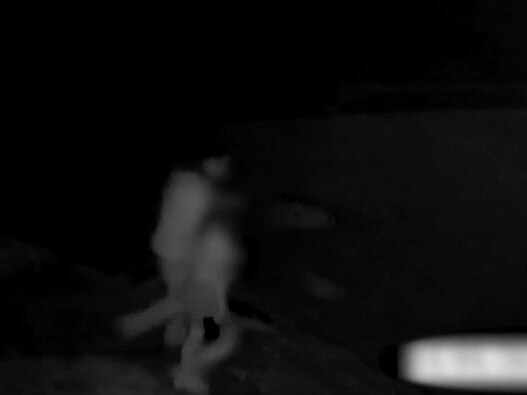 CCTV before one of the incidents has been released by NSW Police.