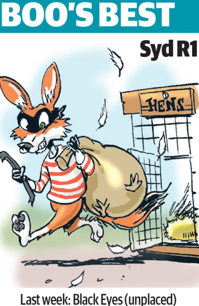 Boo Bailey’s cartoon tip for Rosehill.