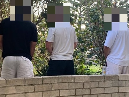 Three men, photographed in 2024, urinating in the garden of the Matthew Bligh apartment block opposite East Esplanade Park at Manly Cove, Manly.