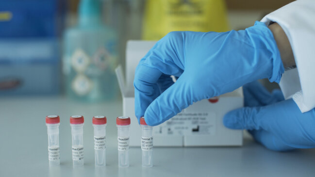 How Coronavirus Test Kits Work