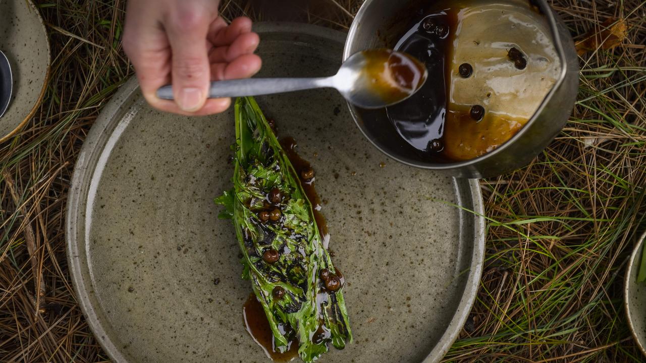 Chef Kane Pollard prepares a dish in the middle of Kuitpo Forest. Picture: Roy VanDerVegt