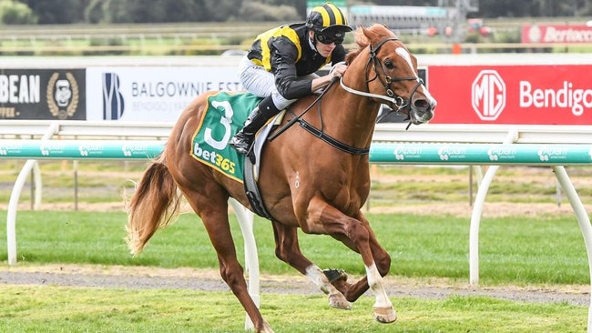 Pivot City has drawn to have every chance in the last race of Saturday’s Caulfield meeting. Picture: Racing Photos via Getty Images.