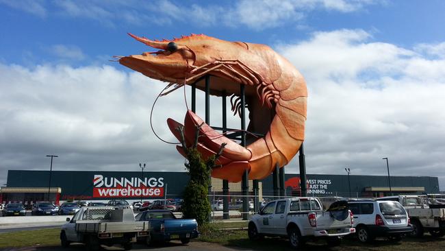 Precious giant crustacean.