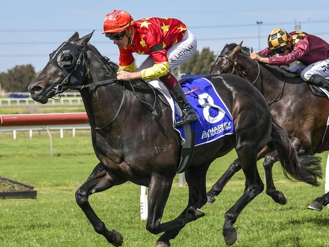 Bunker Hut looks well placed to score at Canterbury on Wednesday. Picture: Bradley Photos