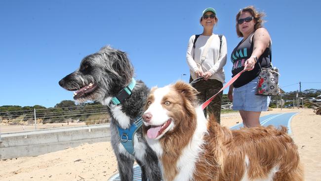 Amanda Wald and Kim Van Wesel with Grado and Gigi at Fishermans Beach. Picture: Alan Barber