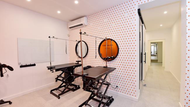 One of the treatment rooms at the Fur Salon in Mosman.