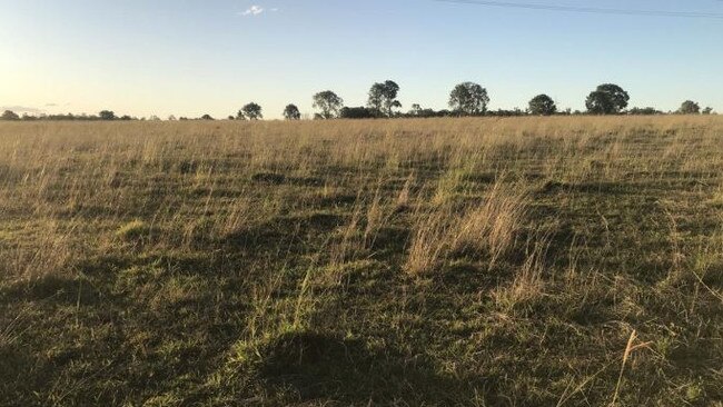 This plot of land in Lower Southgate could soon be home to the Clarence Valley’s largest solar panel farm.