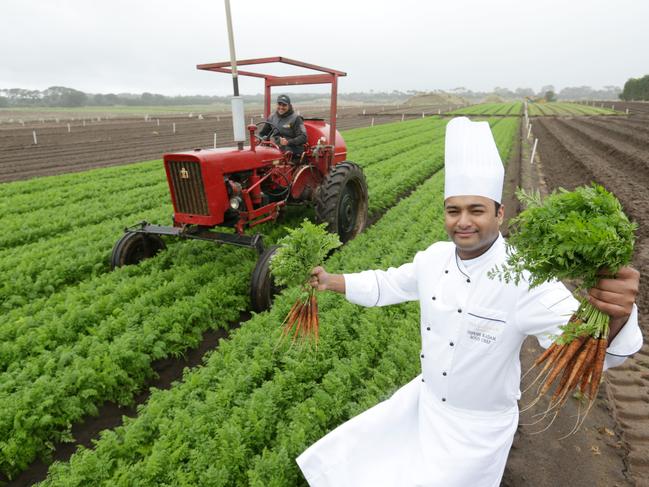 Farmer Richard Hawkes helps The Langham chef Dipesh Kadam pick the perfect carrots for Season’s Harvest at Melba Restaurant. Picture Norm Oorloff