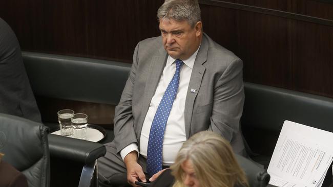 Minister Kerry Vincent. Question time in the Tasmanian House of Assembly. Picture: Nikki Davis-Jones