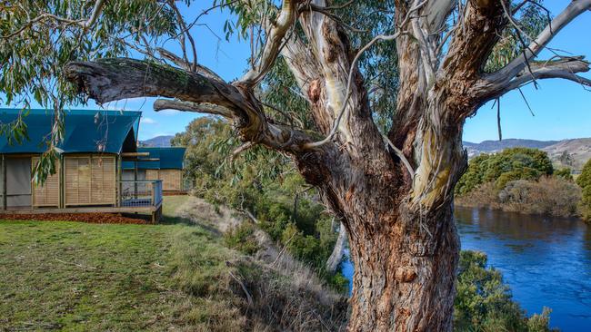 Glamping tents at Truffle Lodge in the Derwent Valley, Tasmania.