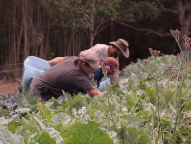 Twelve Tribes members at the sect’s Peppercorn Creek Farm at Picton. Picture: YouTube