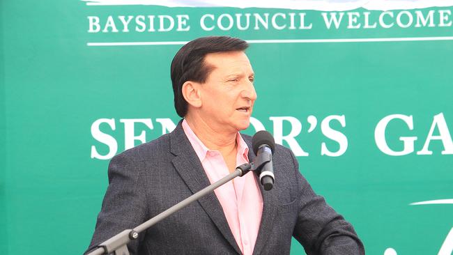 MP Ron Hoenig addressed Bayside Council at the meeting last Wednesday. Picture: Danny Aarons.