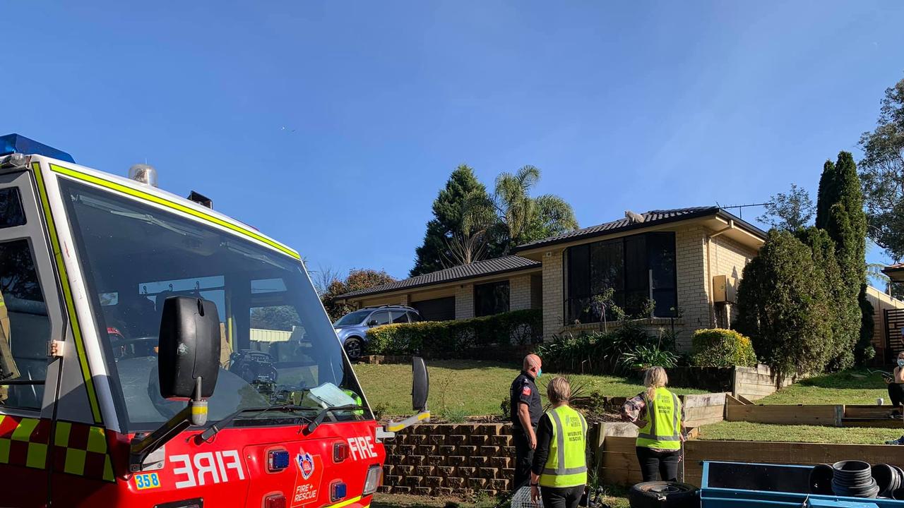 Fire and Rescue NSW Rosemeadow crews attended the scene. Picture: Facebook Help Save the Wildlife &amp; Bushlands in Campbelltown