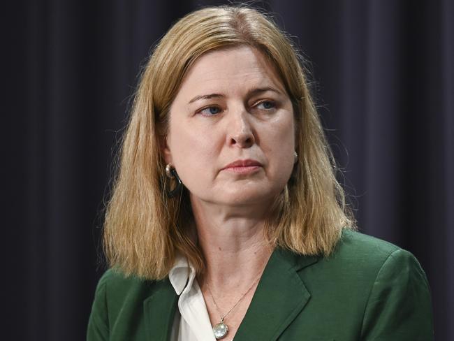 CANBERRA, Australia - NewsWire Photos - October 14, 2024: Minister for Agriculture, Fisheries and Forestry, Julie Collins holds a press conference at Parliament House in Canberra. Picture: NewsWire / Martin Ollman