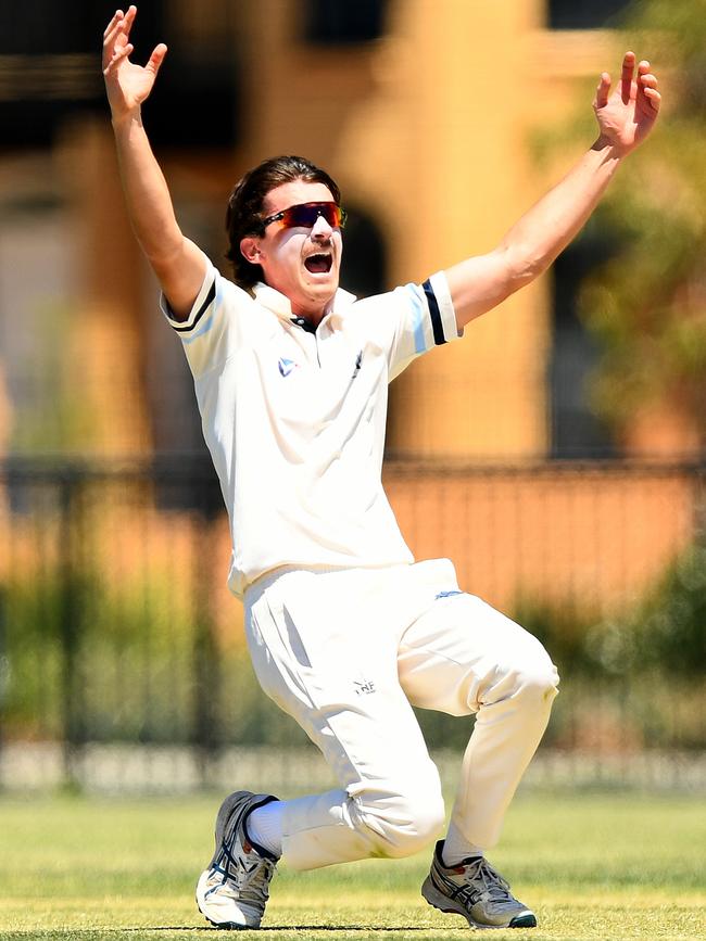 Jack Carroll celebrates a wicket for Kew. Picture: Josh Chadwick