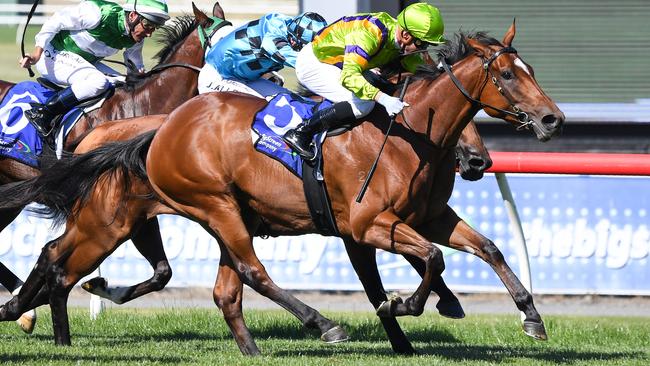 Good And Proper can end the day on a high for punters with another win in the last race at Sandown. Picture: Getty Images