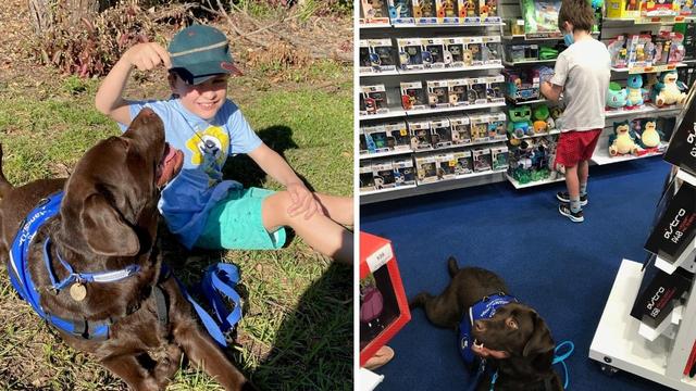 Assistance dog helps whole family of boy with autism