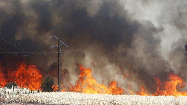 The devastating Pinery fire in November 2015 claimed two lives. Picture: Simon Cross