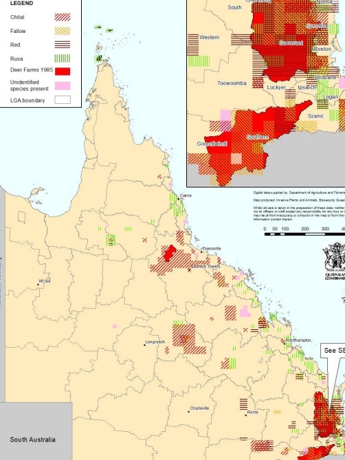 Location of feral deer in Queensland. Note the southeast region. Source: Gold Coast City Council report.