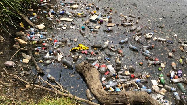 A resident’s photo of the ugly rubbish which he said was showing Harrington Park Lake’s “less beautiful side’’. Picture: Facebook