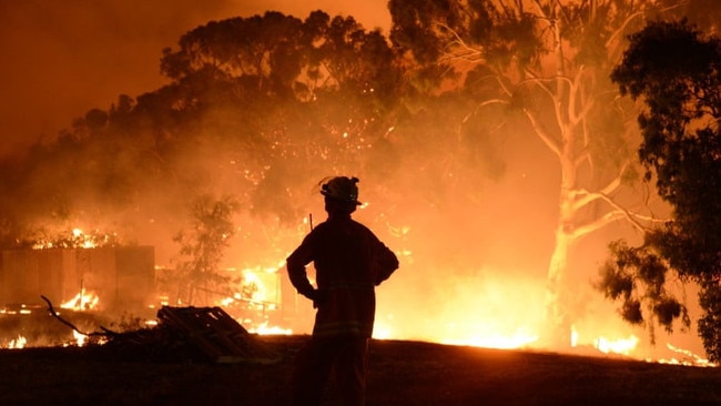 A CFS firefighter watches on as the Cherry Gardens bushfire rages. Picture: CFS Promotions Unit