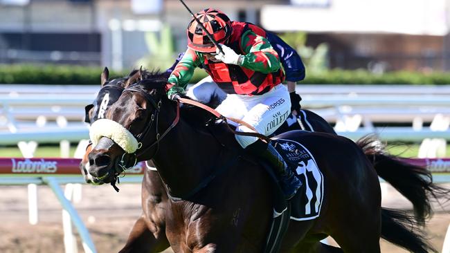 In-form mare Tectonic Plate is ready for the Kosciuszko should she get a slot. Picture: Grant Peters - Trackside Photography