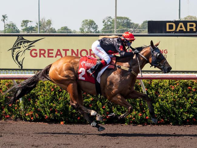 Noir De Rue won the feature race 2 Queens Birthday Race Day Handicap 1200m with jockey Vanessa Arnott for trainer Jason Manning. Photo Caroline Camilleri