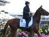 Melbourne Cup favourites get huge boost