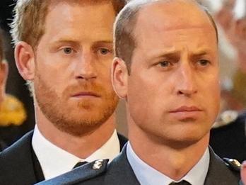 (L to R): Peter Phillips, Britain's Prince Harry, Duke of Sussex, Britain's Prince William, Prince of Wales and Britain's Prince Edward, Earl of Wessex, follow the pallbearers carrying of Queen Elizabeth II into Westminster Hall at the Palace of Westminster in London on September 14, 2022, to Lie in State following a procession from Buckingham Palace. - Queen Elizabeth II will lie in state in Westminster Hall inside the Palace of Westminster, from Wednesday until a few hours before her funeral on Monday, with huge queues expected to file past her coffin to pay their respects. (Photo by Jacob King / POOL / AFP)