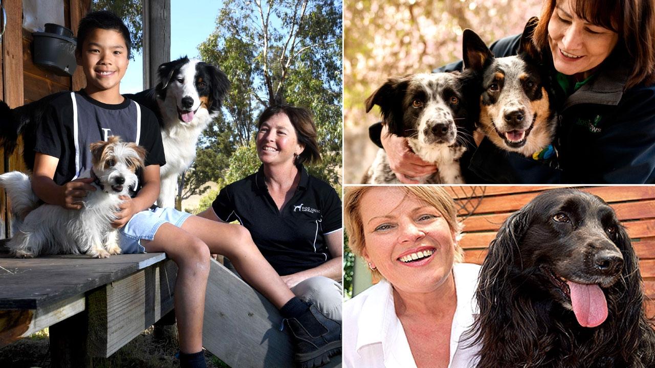 Dog trainers Adelaide: SA’s go-to pet trainers and their top tips | The ...