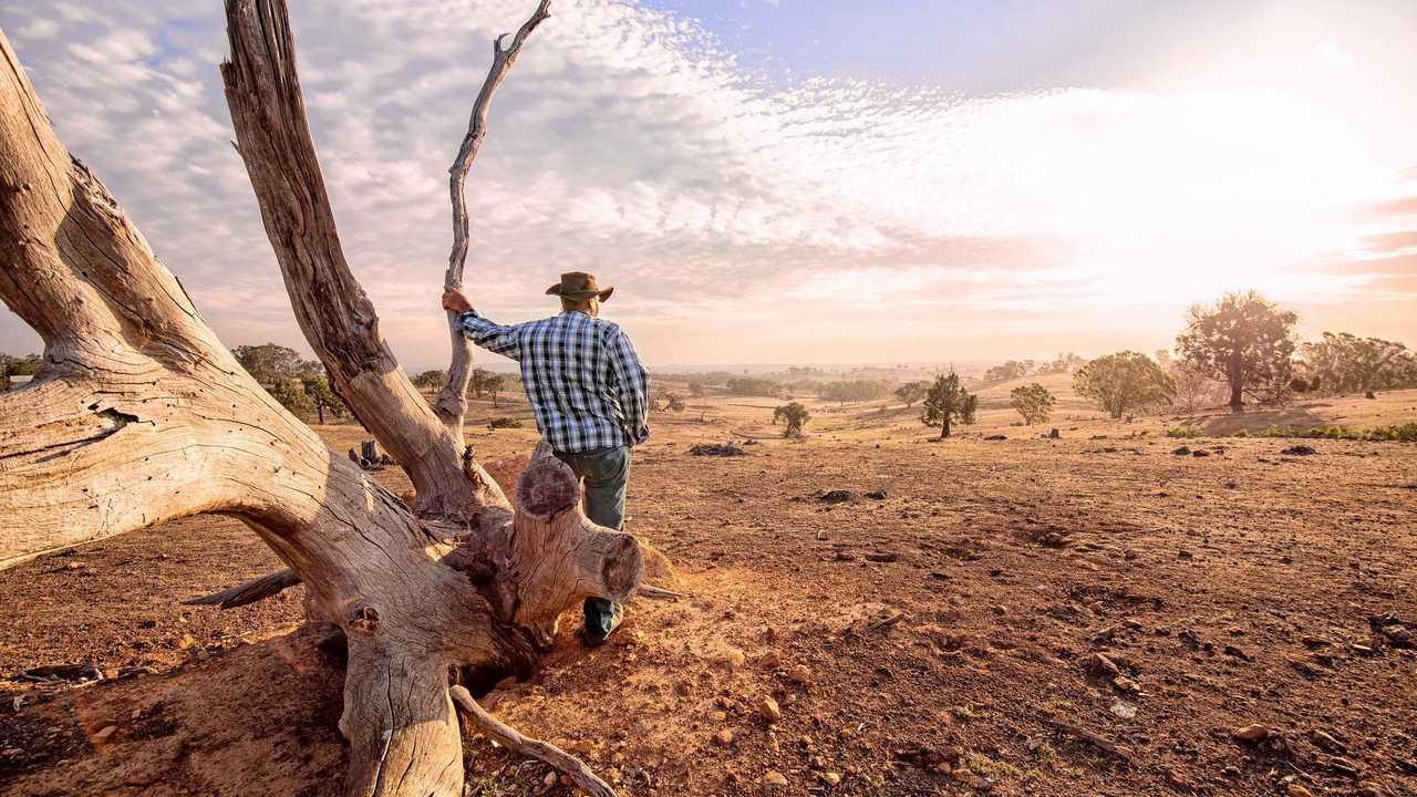 Farmer looking over drought-stricken land. Picture: VMJones