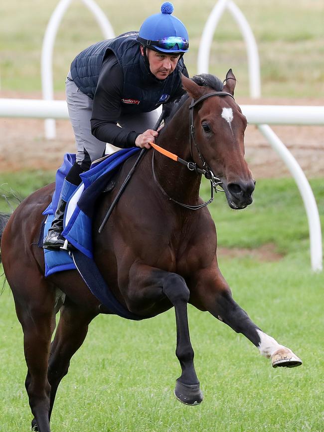 Danceteria gallops at Werribee on Tuesday morning. Pic: Getty Images