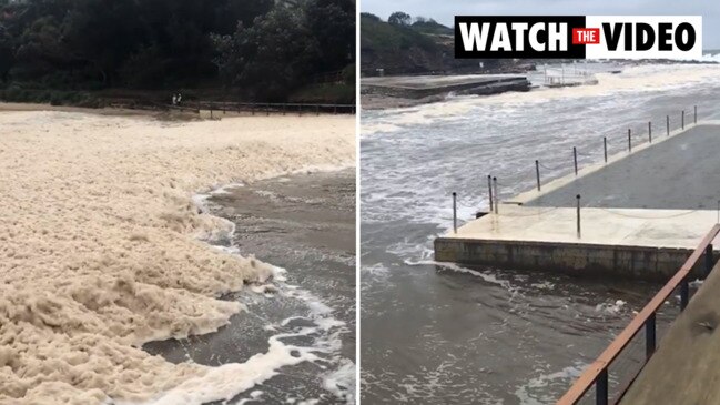 Foam on Clovelly Beach