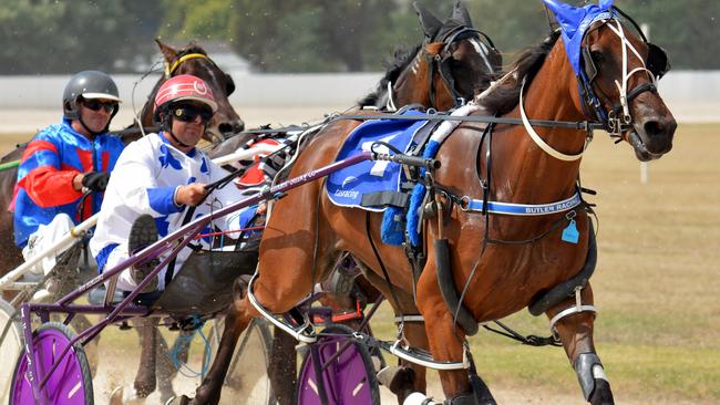 Harness trainers in Hobart on Sunday night will receive a $200 bonus for every starter they have at the meeting. SUPPLIED