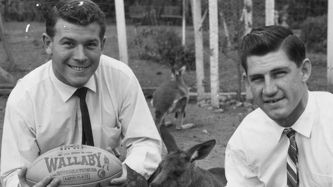 Wallabies of 1963 Dallas O'Neill (left) and Dick Marks with … a wallaby.