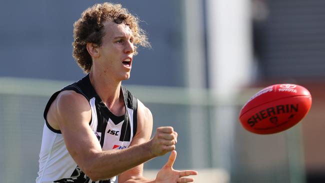 Collingwood's Chris Mayne in action in the VFL. Picture: Michael Klein