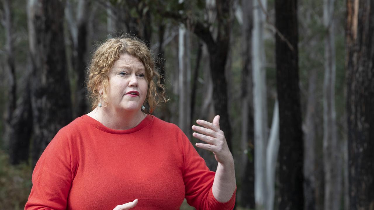 Lord Mayor of Hobart Anna Reynolds. Picture: Chris Kidd