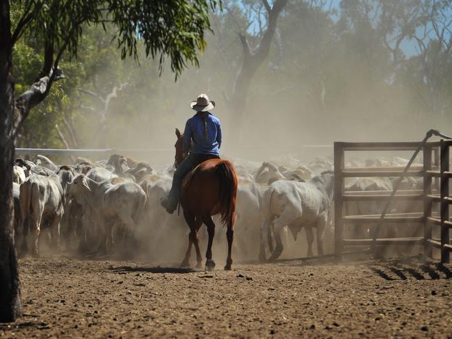 Neumayer Valley Station in Normanton, owned by Swiss Australian Farm Holding Pty Ltd (Switzerland). Picture: Supplied