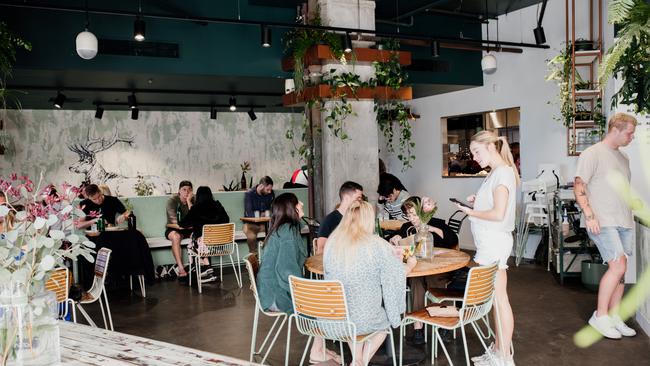 The greenery-filled inside dining space at Elk Espresso. Picture: Brooke Darling