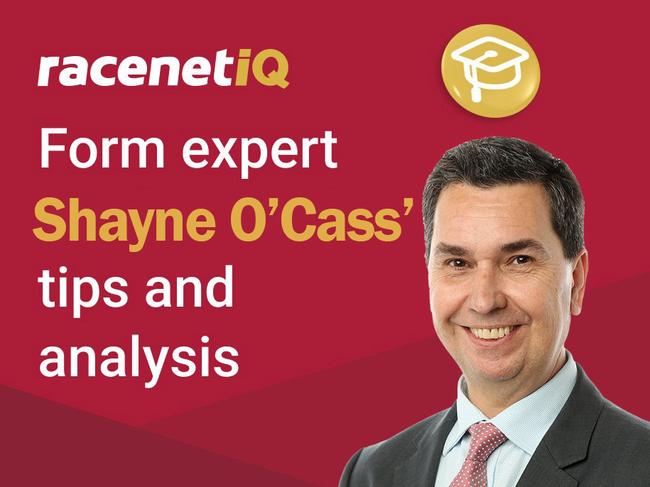 Shayne O'Cass previews Sapphire Coast on Sunday.