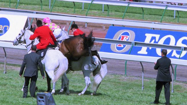 Digging in: Pravda bucks while clerks of the course try to take her to barriers. Picture: Peter Ward