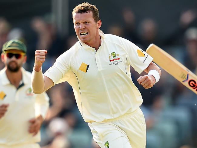 Peter Siddle to miss Victoria’s Sheffield Shield title push | Herald Sun