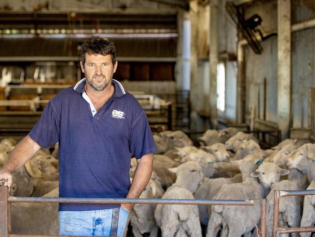 NEWS: Vic Police - Stock TheftDetectives from the Western Region Crime Squad are appealing for information after 1115 sheep were recently stolen from a farm in Lexton, marking the third major livestock theft at the property in less than two years.Pictured: farmer Steve Wheeler.