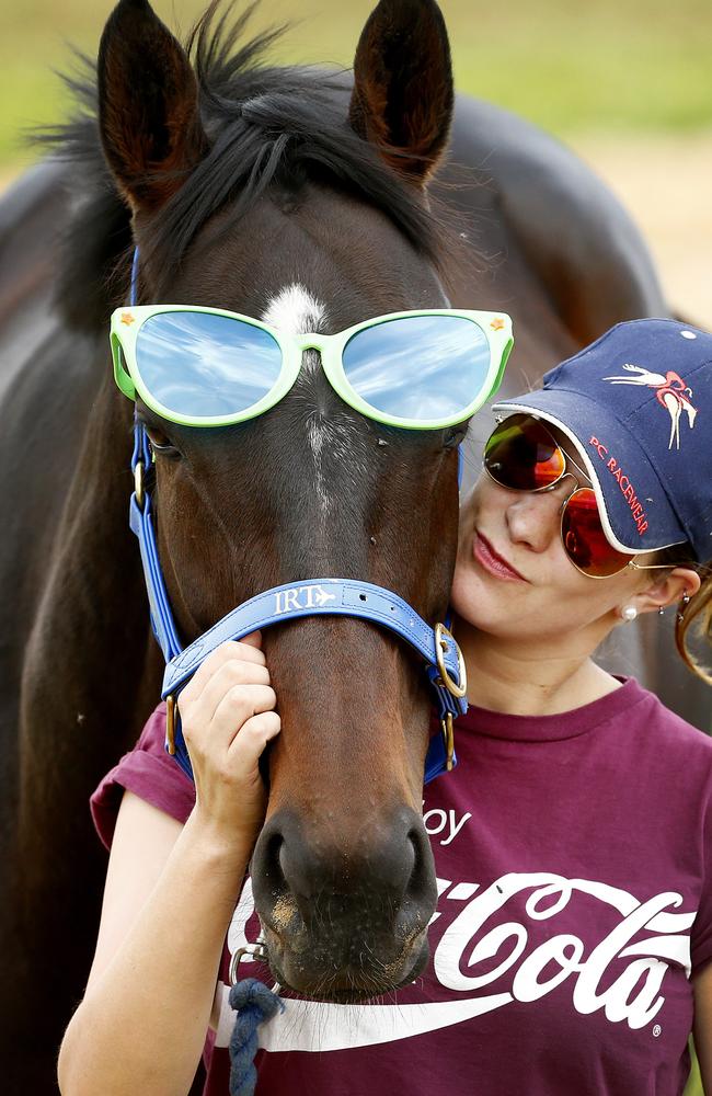 Back again: Max Dynamite with travelling groom Rachel Robins during his 2015 Melbourne Cup campaign. Picture: Colleen Petch