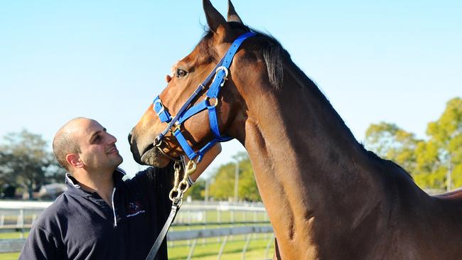 Can anyone stop Con Karakatsanis? (Pictured with one of his prize gallopers in 2014.) Photo: Leigh Jensen / Daily Examiner